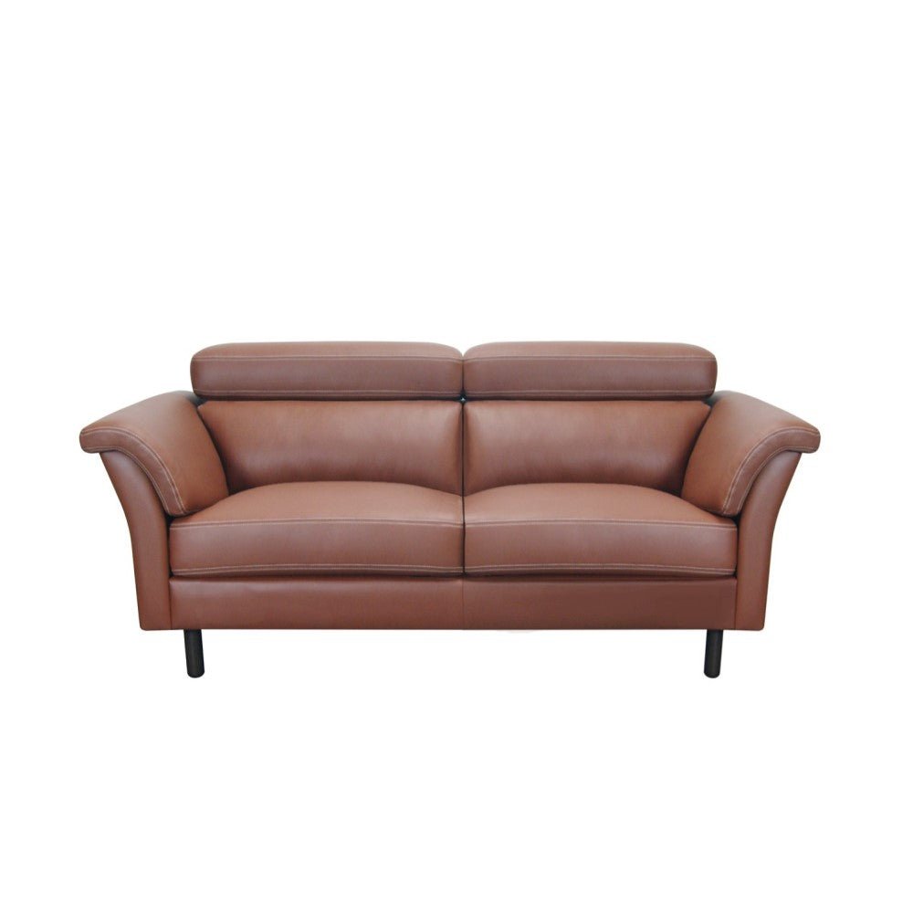 Moran Furniture Carson Sofa