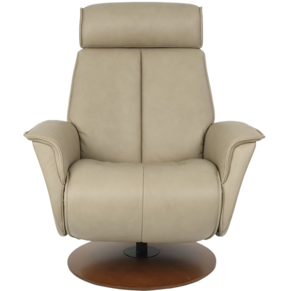 Moran Furniture Bo Fjord Power Recliner