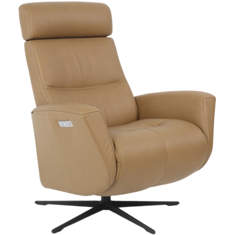 Moran Furniture Magnus Fjord Power Recliner