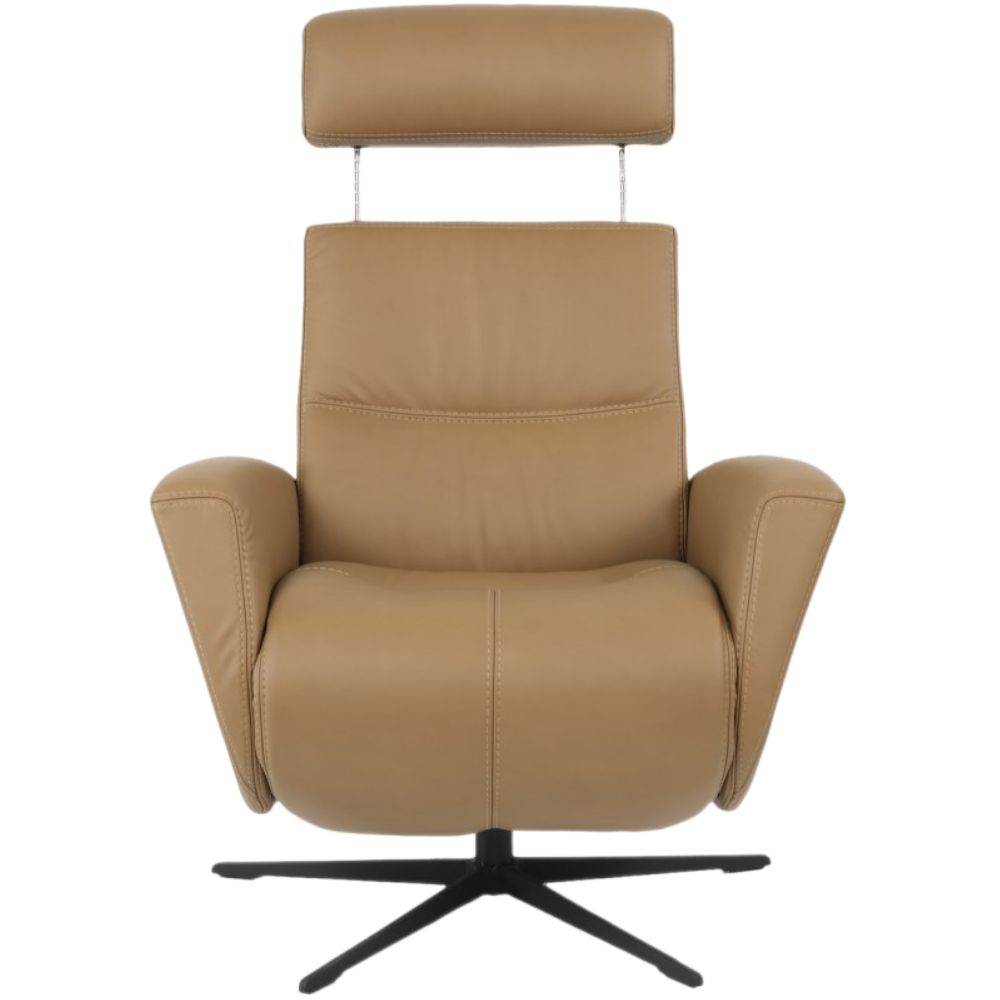 Moran Furniture Magnus Fjord Power Recliner