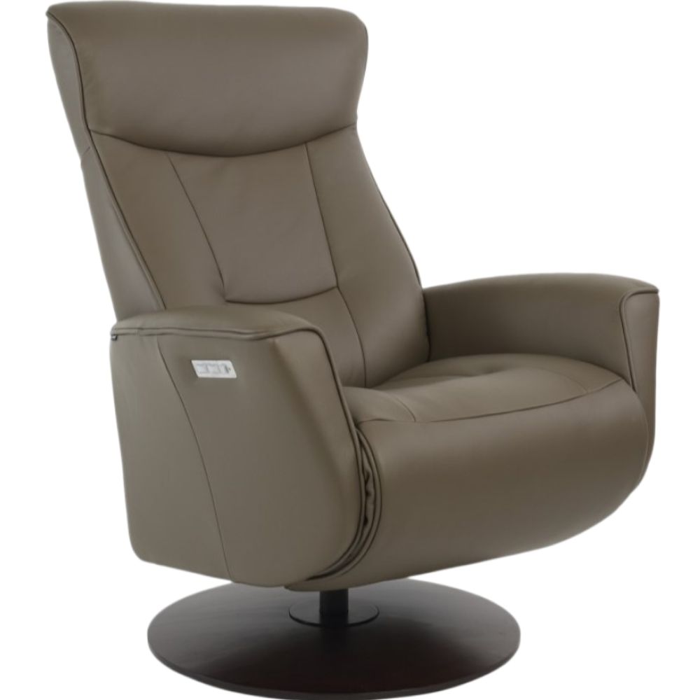 Moran Furniture Oskar Fjord Power Recliner