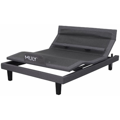 MLILY iActive 40M Massage Electric Queen Bed